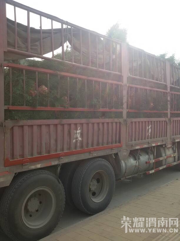 �����ڱ��Ӵ���϶ο�����������������������ɣ�