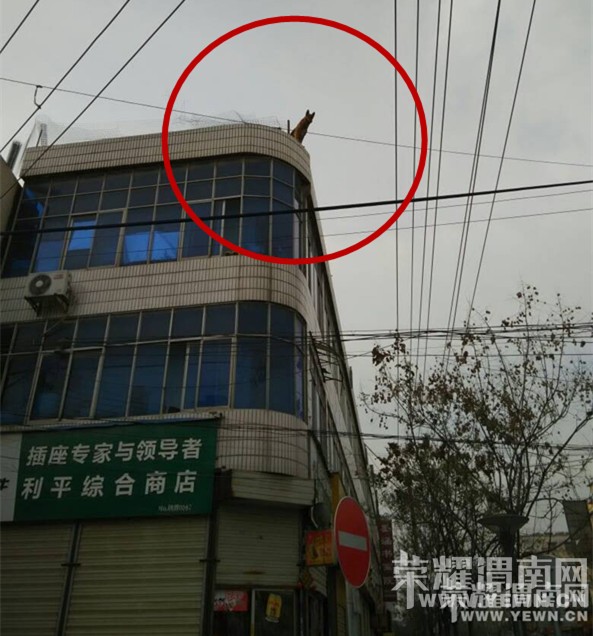 ��һ·���Ͼ�·ʮ�֣�¥��һ���ǹ����������Ŀ�У����ˣ�