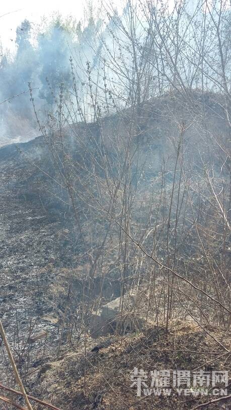 �����Ϸ���ֽС�ģ��������С�Ļ���