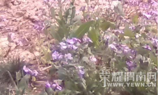 �̰���������̫����