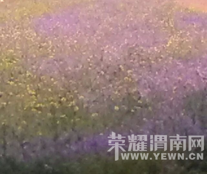 �̰���������̫����