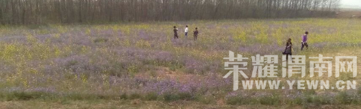 �̰���������̫����