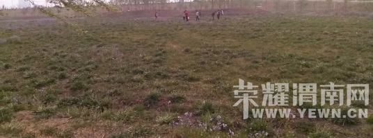 �̰���������̫����