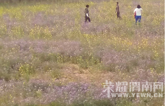 �̰���������̫����