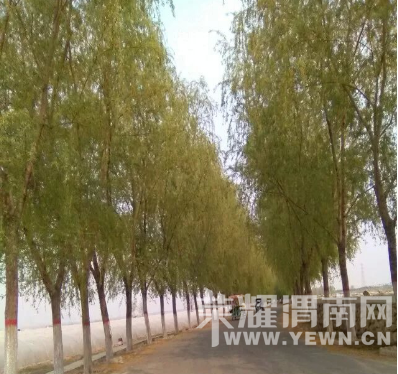 �̰���������̫����