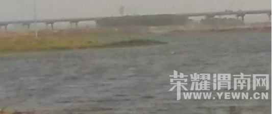 �̰���������̫����