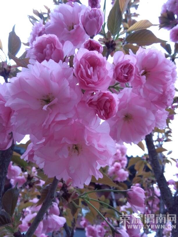 �������ˣ��������භ�ޣ����Ķ��ѽ~