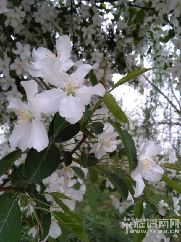 �������ˣ��������භ�ޣ����Ķ��ѽ~