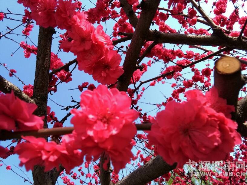 �������ˣ��������භ�ޣ����Ķ��ѽ~