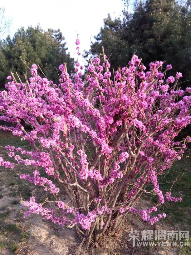 �������ˣ��������භ�ޣ����Ķ��ѽ~