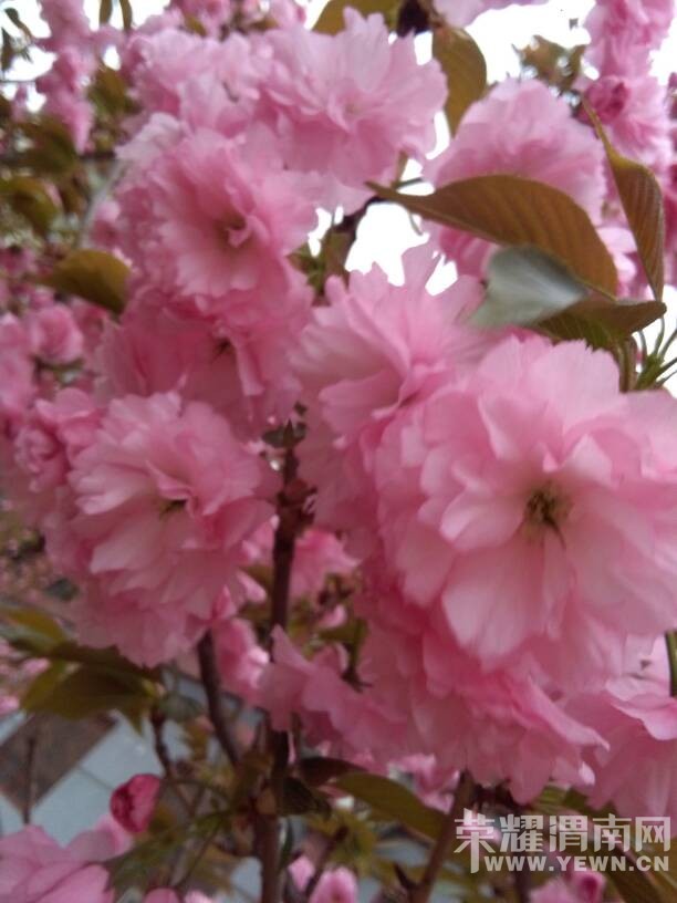 �������ˣ��������භ�ޣ����Ķ��ѽ~