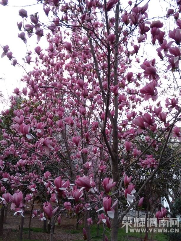 �������ˣ��������භ�ޣ����Ķ��ѽ~