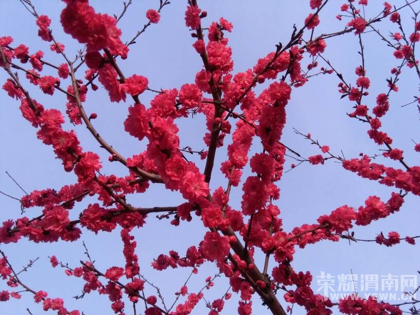 �������ˣ��������භ�ޣ����Ķ��ѽ~