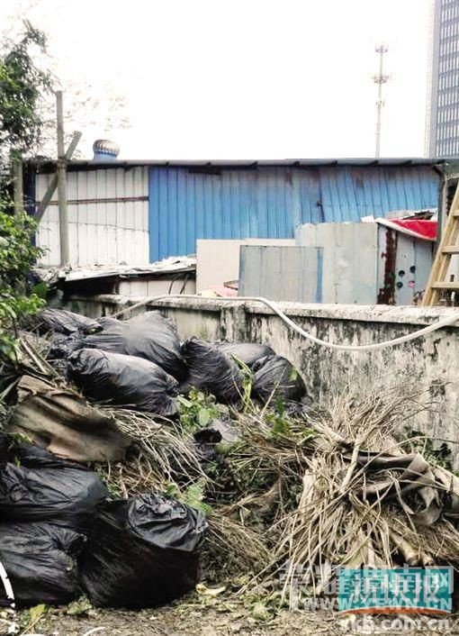 ���������˴�˽լ���� ��Ѯ��̫Ϊ�����ӱ�����