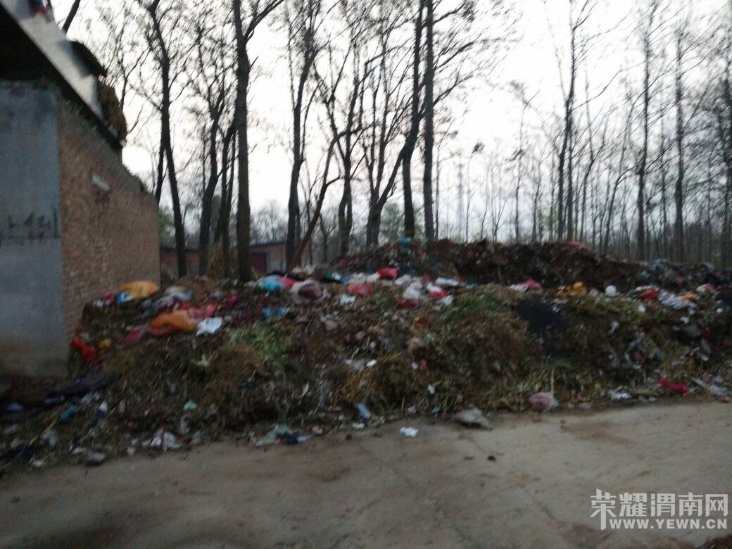 ���������飬�����ѳ�ɽ���쵼�Ǿ�û�˿�����