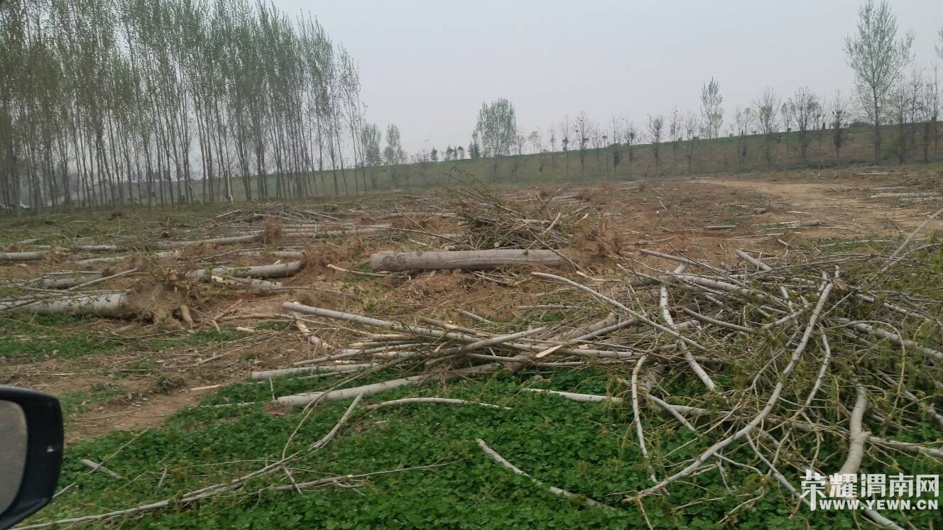 �����Ͷ�����̬��԰�Ĵ�