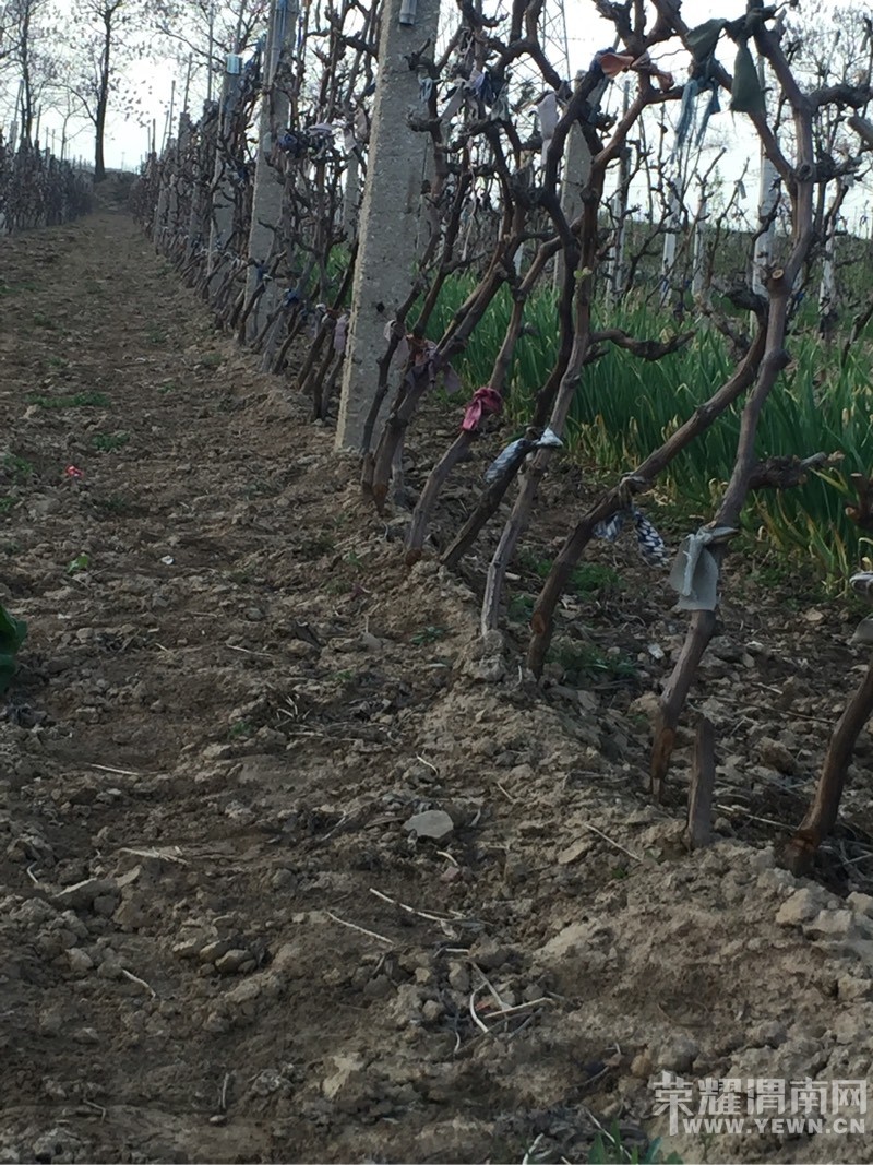 ���̣������򴺹�����������һҹ֮���޹ʱ�����173��