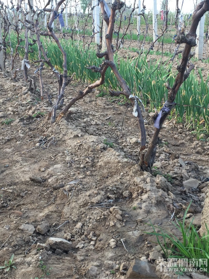 ���̣������򴺹�����������һҹ֮���޹ʱ�����173��