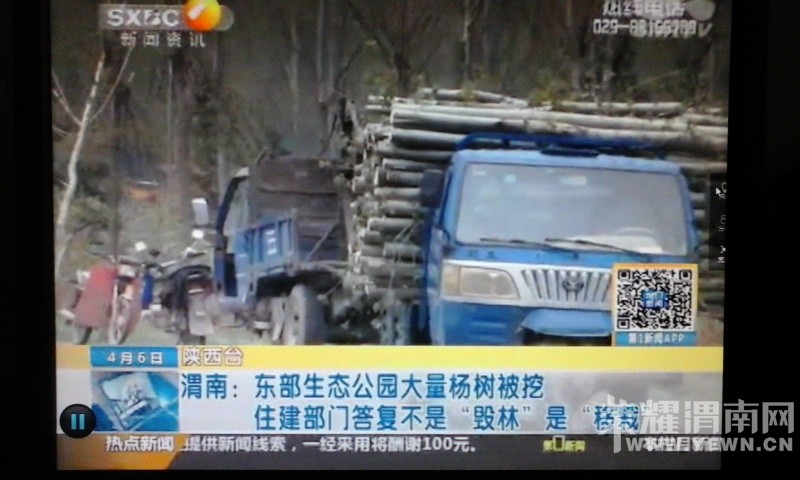 ��������̨���Ŷ�����̬��԰��������