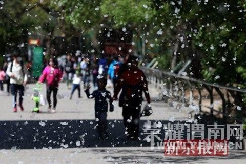 ����������������ģʽ ��ȥ����ǰһ��(ͼ)