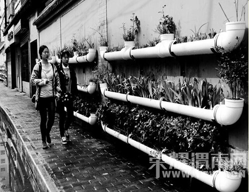 ��������ˮ���ֻ���Ϊ���е�����ɫ ��Χ������