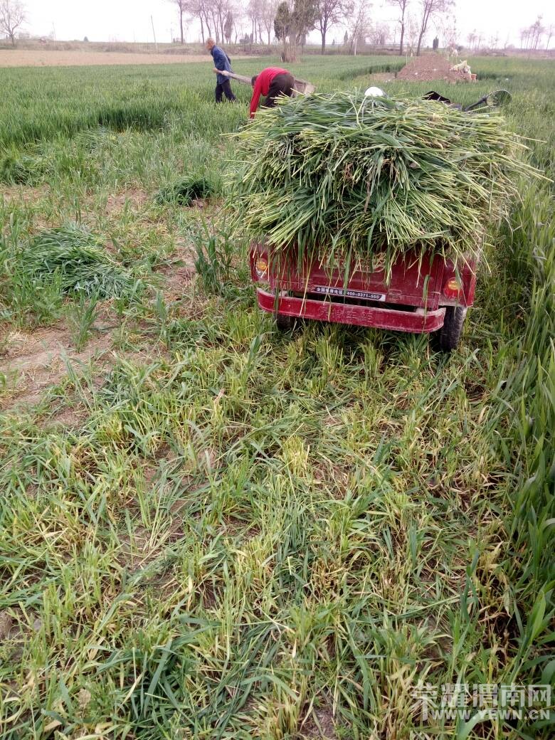 ���һ�������ˣ��ر������ˣ�ũ������ǰ����