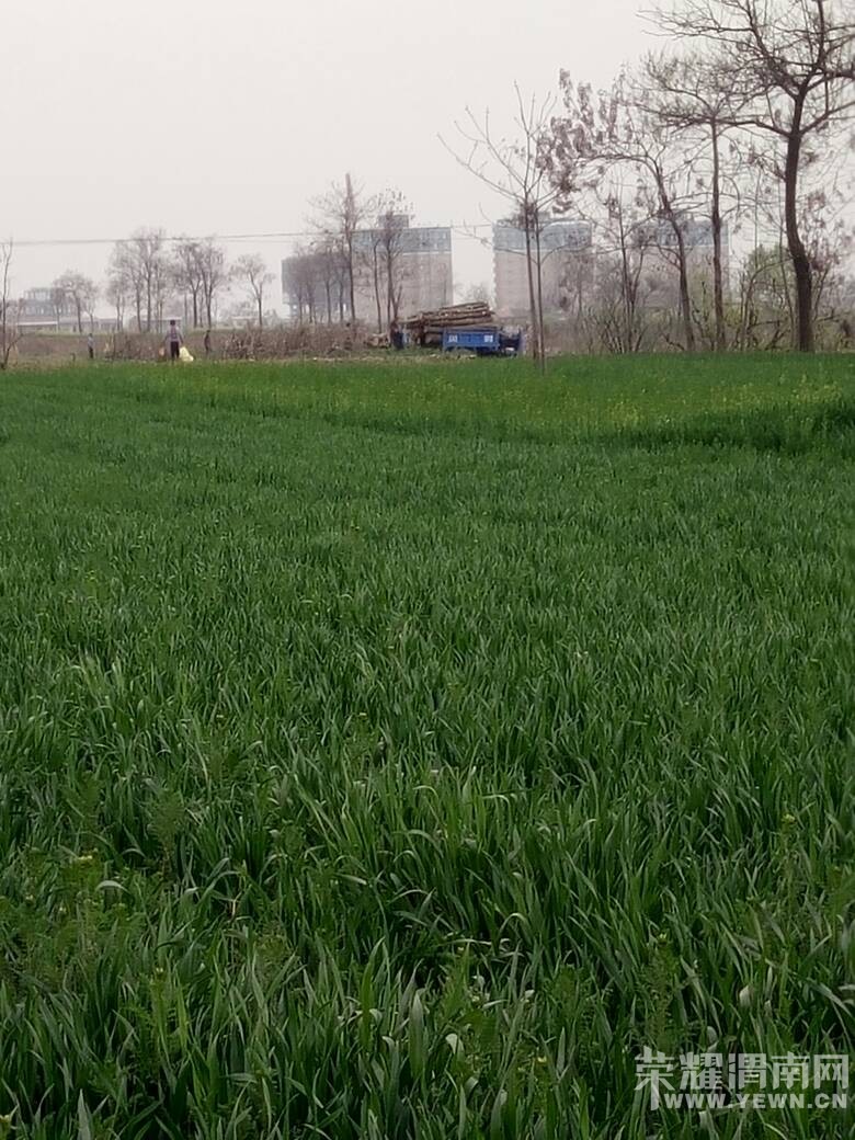 ���һ�������ˣ��ر������ˣ�ũ������ǰ����