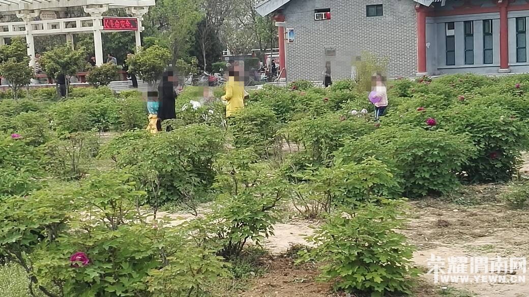 �����ڳ�����԰������һĻ��������̾������������ȥ�ˣ�