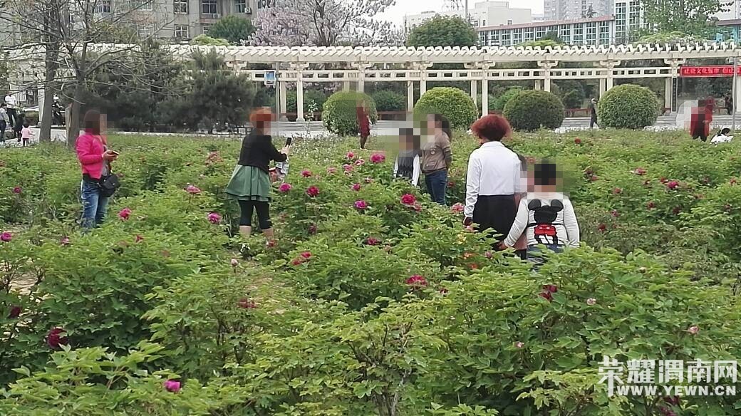 �����ڳ�����԰������һĻ��������̾������������ȥ�ˣ�