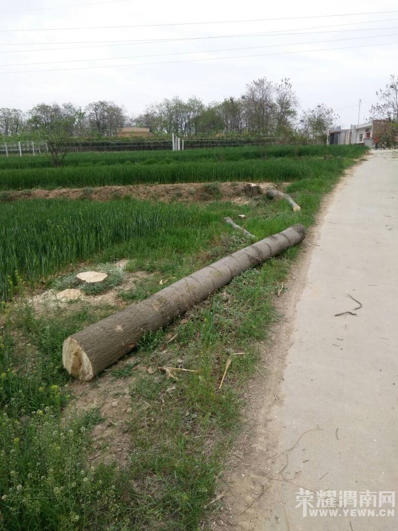 ��μ����������ë��·����ľ�������������鿳������