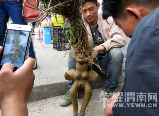 ������Ů����������  ����1200Ԫ���ֽ���(ͼ)