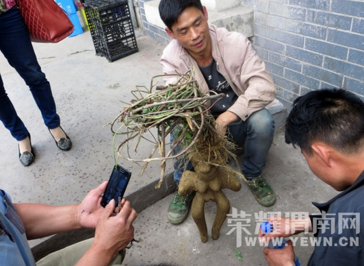 ������Ů����������  ����1200Ԫ���ֽ���(ͼ)