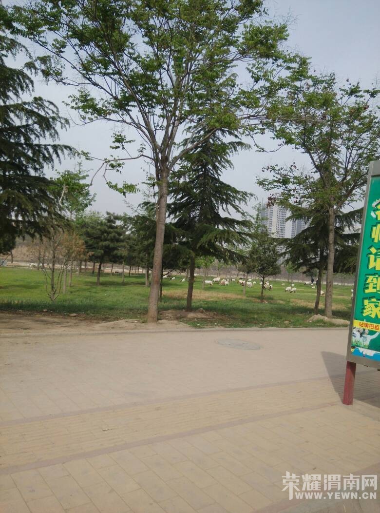 �峿�ڻҶ���ַ��԰�������������ڲ�ƺ�Ϸ�������������