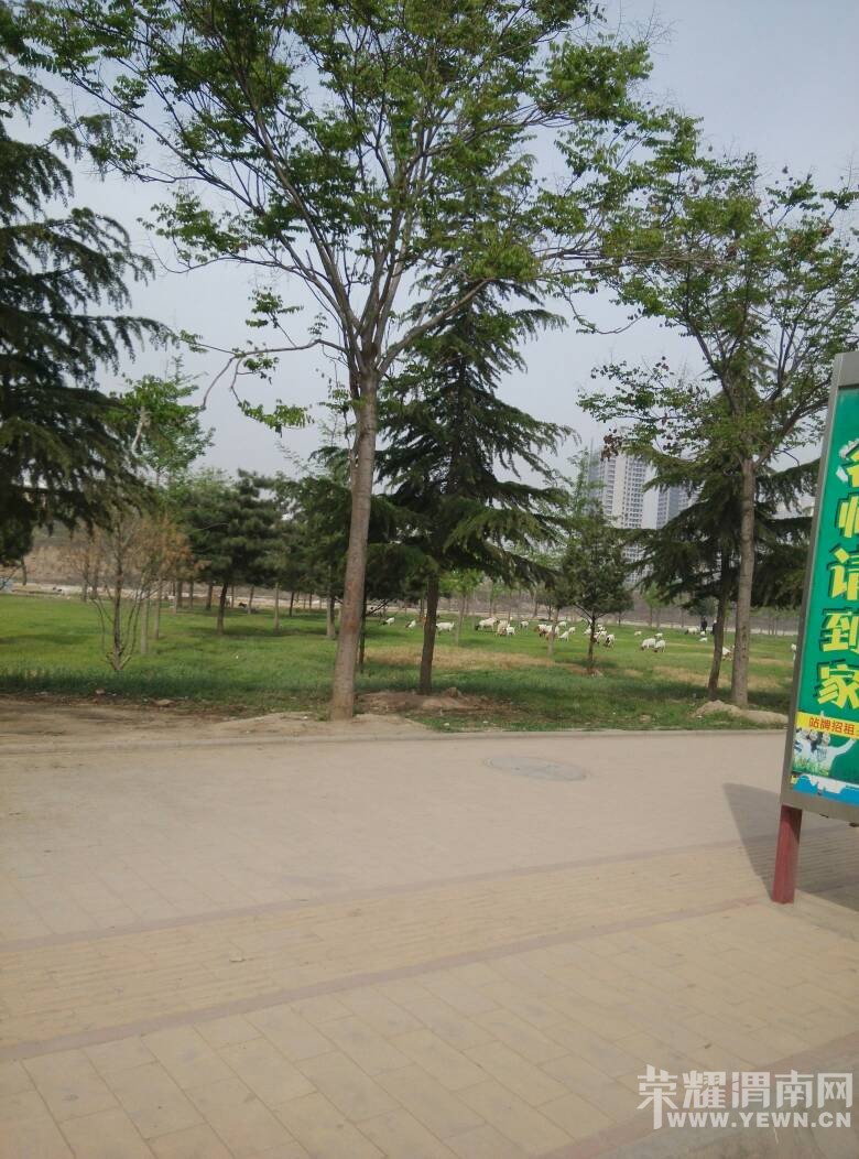 �峿�ڻҶ���ַ��԰�������������ڲ�ƺ�Ϸ�������������