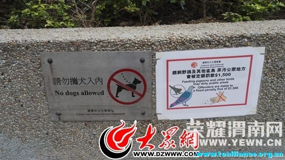 ����ۿ��̺�·�����������������Ƴ�������