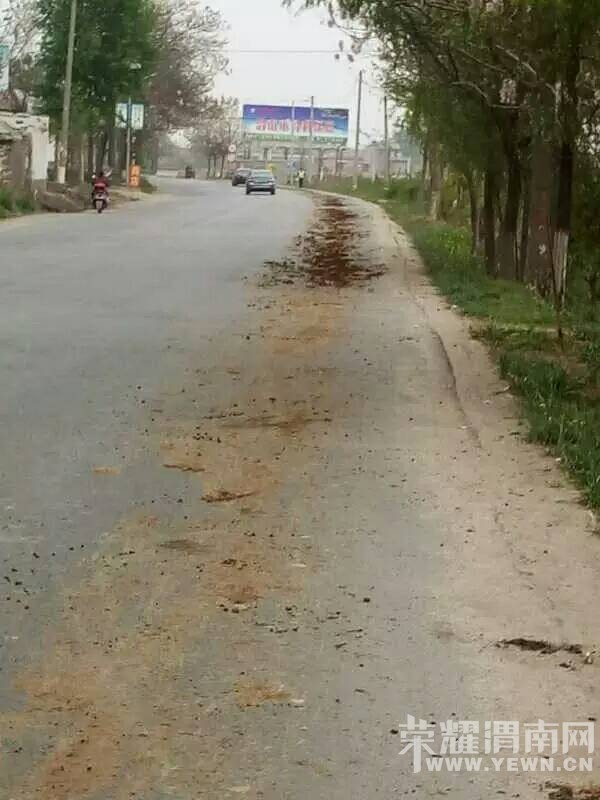 ����������е��ߵ꣬һ�����೵�Ѵ������һ�أ�����ˬ����