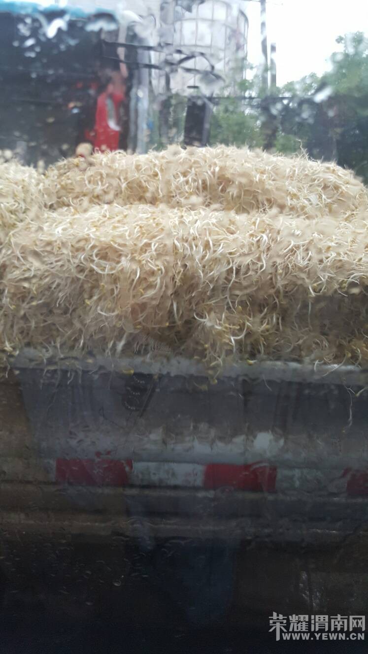 ��������վ��·���������������ϵĶ�������Ϲ���ҵ��ۣ�