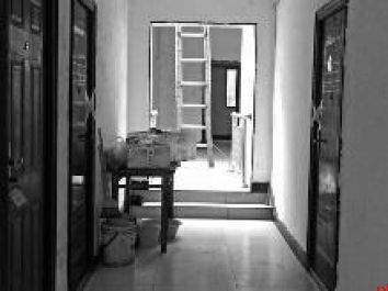 ���������� Ů�ӳ�����������