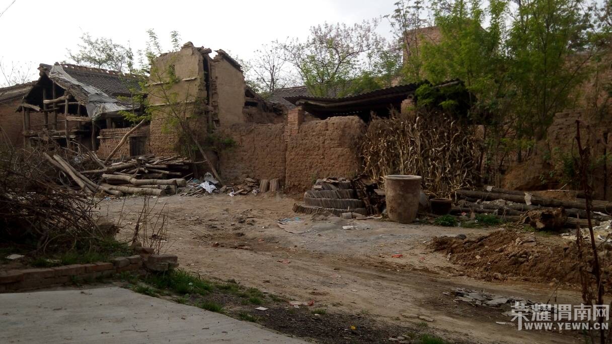 �������������Ѳ����������Ӳݴ�������ˮ����