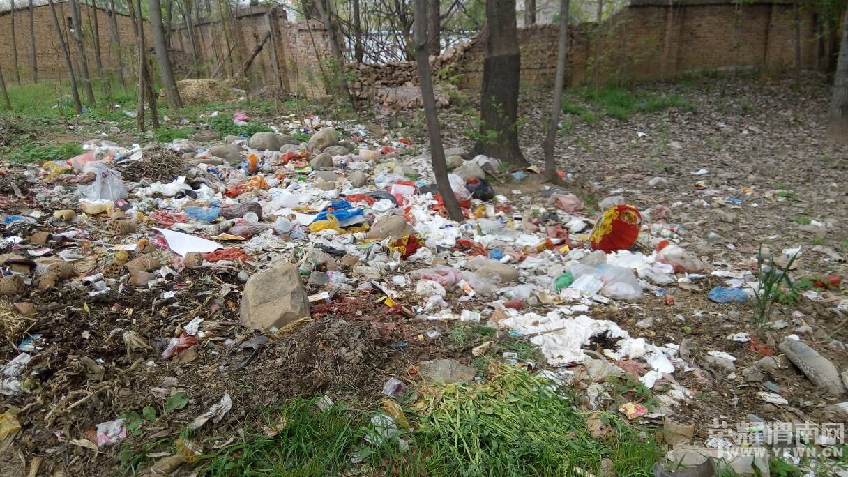 �������������Ѳ����������Ӳݴ�������ˮ����