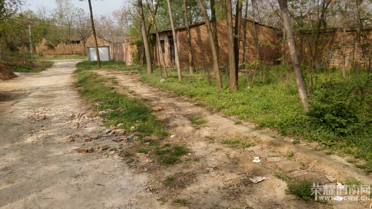 �������������Ѳ����������Ӳݴ�������ˮ����