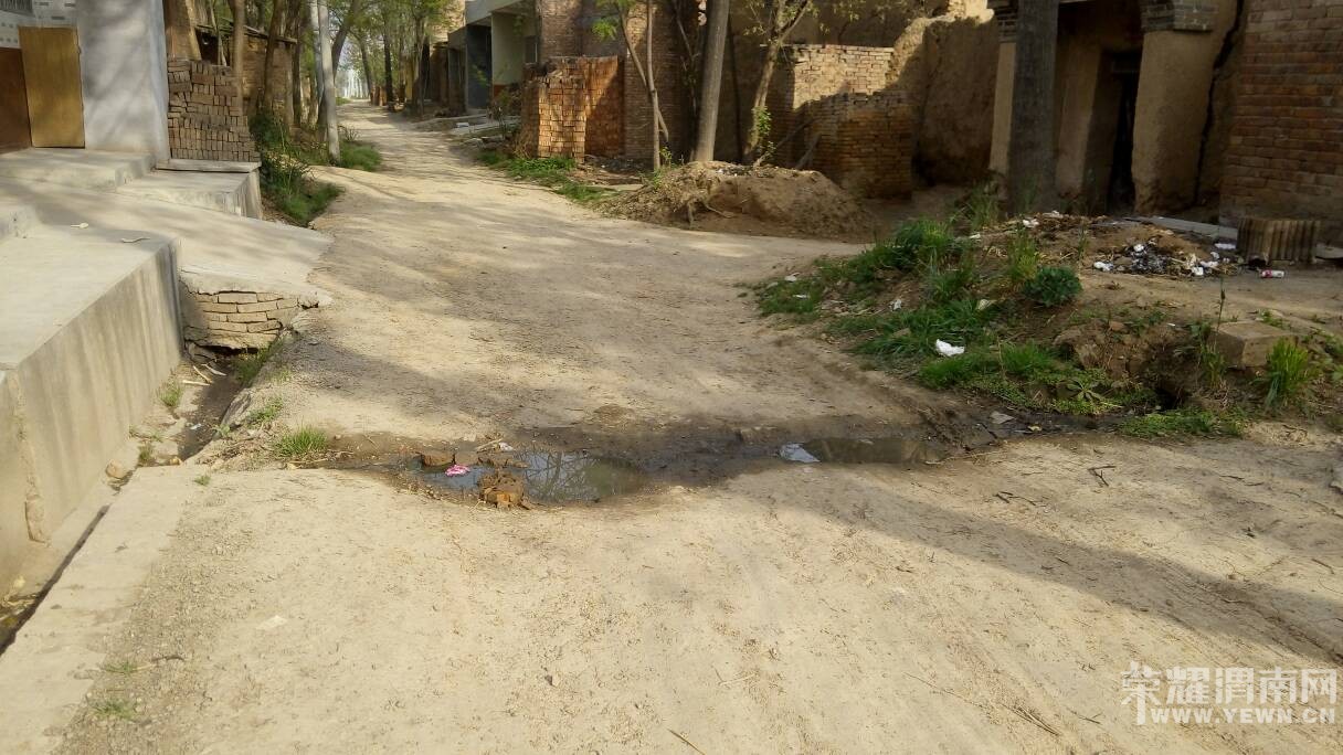 �������������Ѳ����������Ӳݴ�������ˮ����