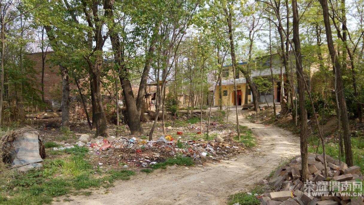 �������������Ѳ����������Ӳݴ�������ˮ����