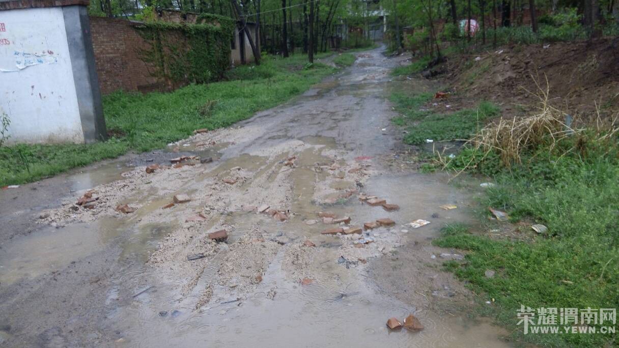 �������������Ѳ����������Ӳݴ�������ˮ����