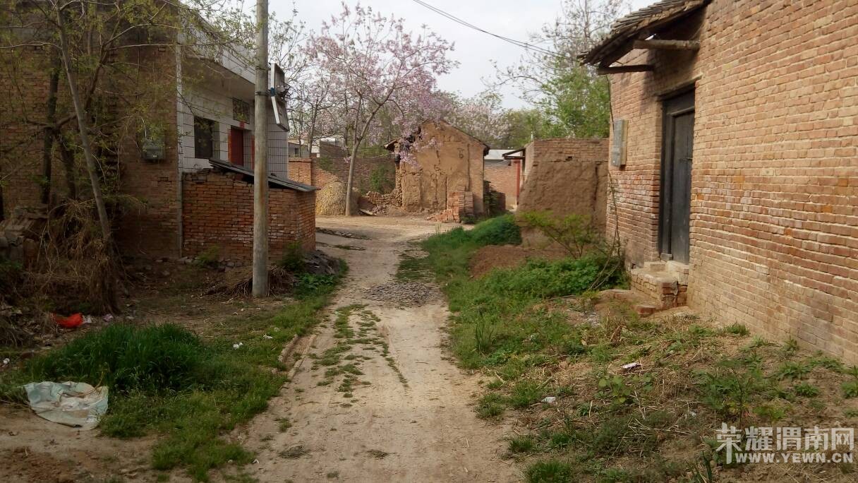 �������������Ѳ����������Ӳݴ�������ˮ����