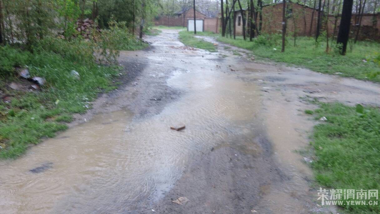 �������������Ѳ����������Ӳݴ�������ˮ����