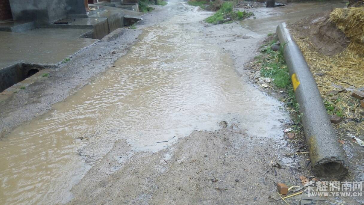 �������������Ѳ����������Ӳݴ�������ˮ����