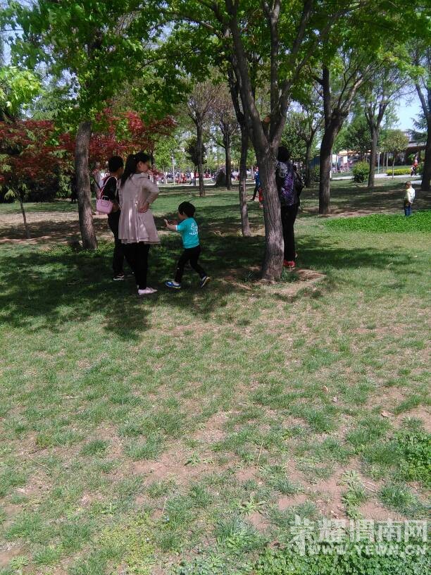 �ڳ�����԰������һĻ��ֻ��˵����������°ɣ�