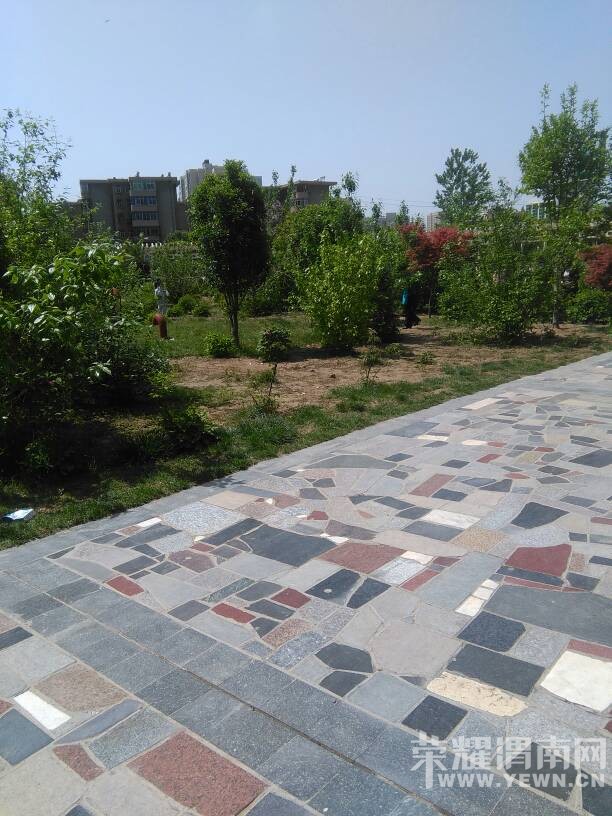 �ڳ�����԰������һĻ��ֻ��˵����������°ɣ�