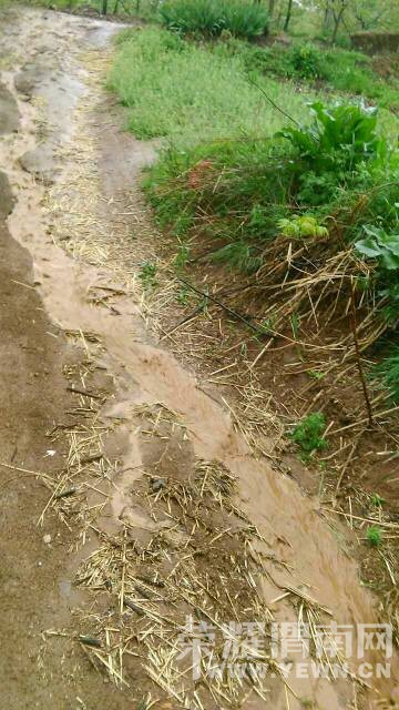 ��������Ҵ��·�ӿ����ݣ�������ްɣ�